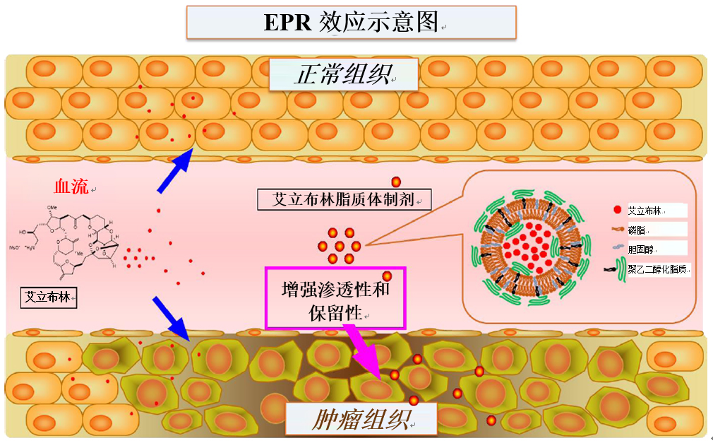 8040威尼斯(中国)有限公司官网