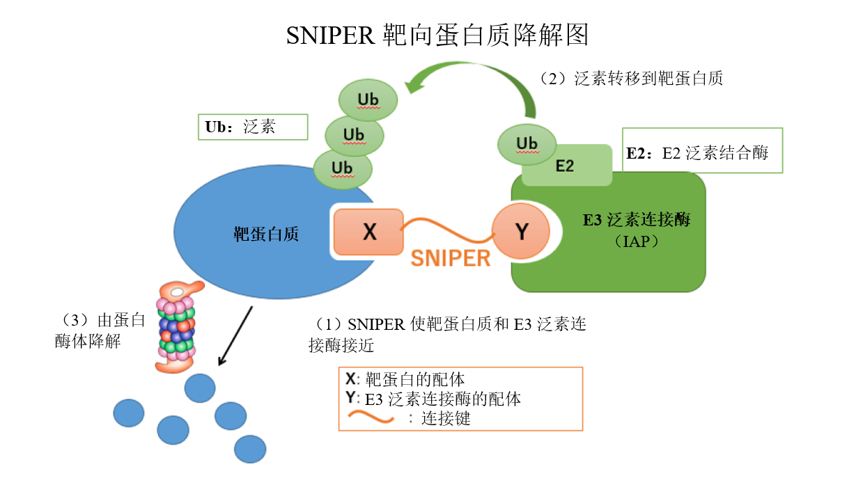 8040威尼斯(中国)有限公司官网