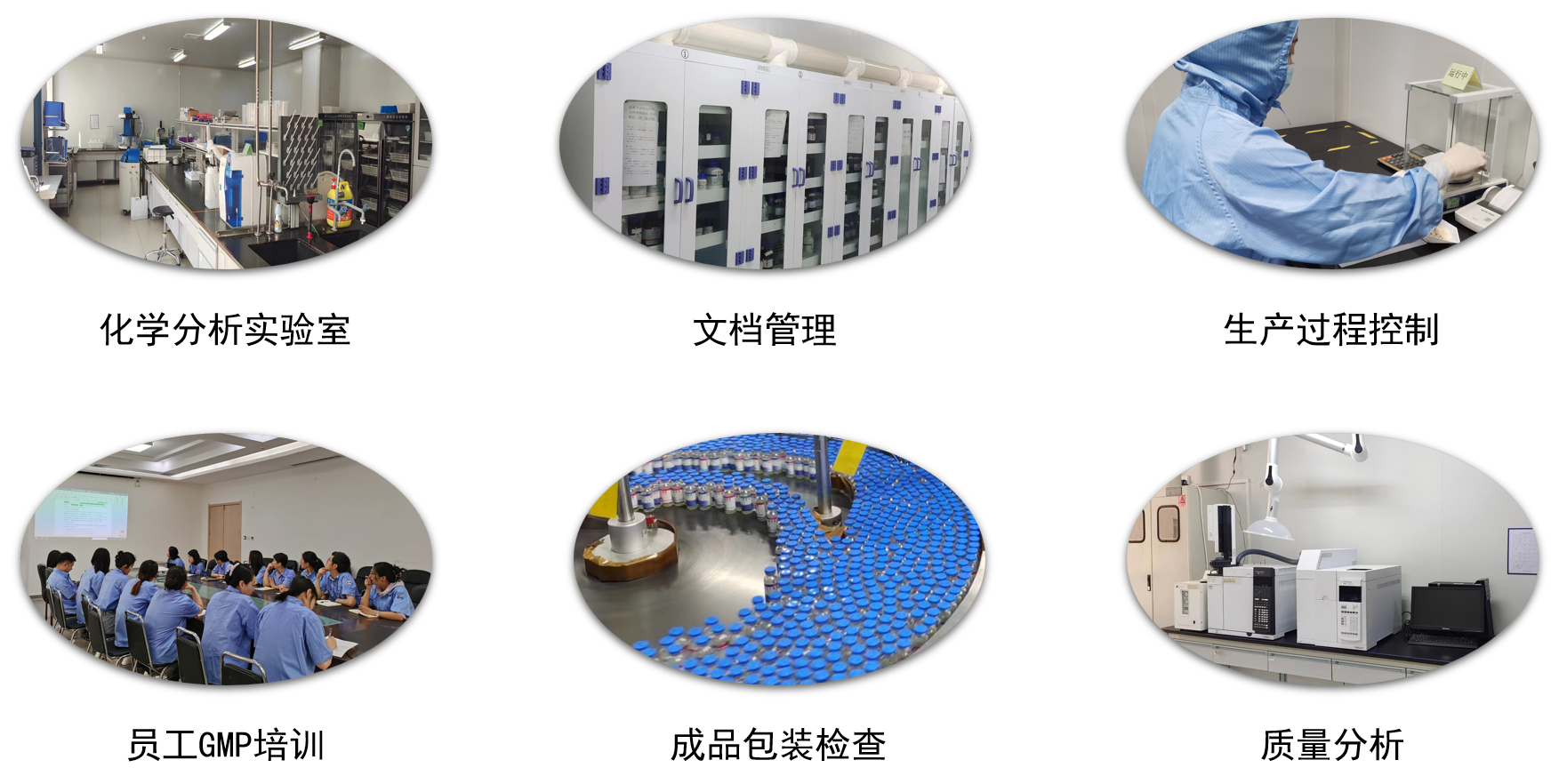 8040威尼斯(中国)有限公司官网